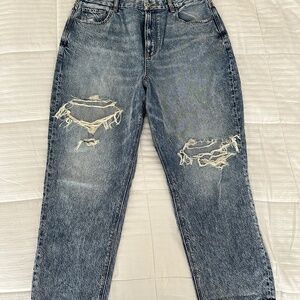 AE Distressed Curvy Mom Jeans